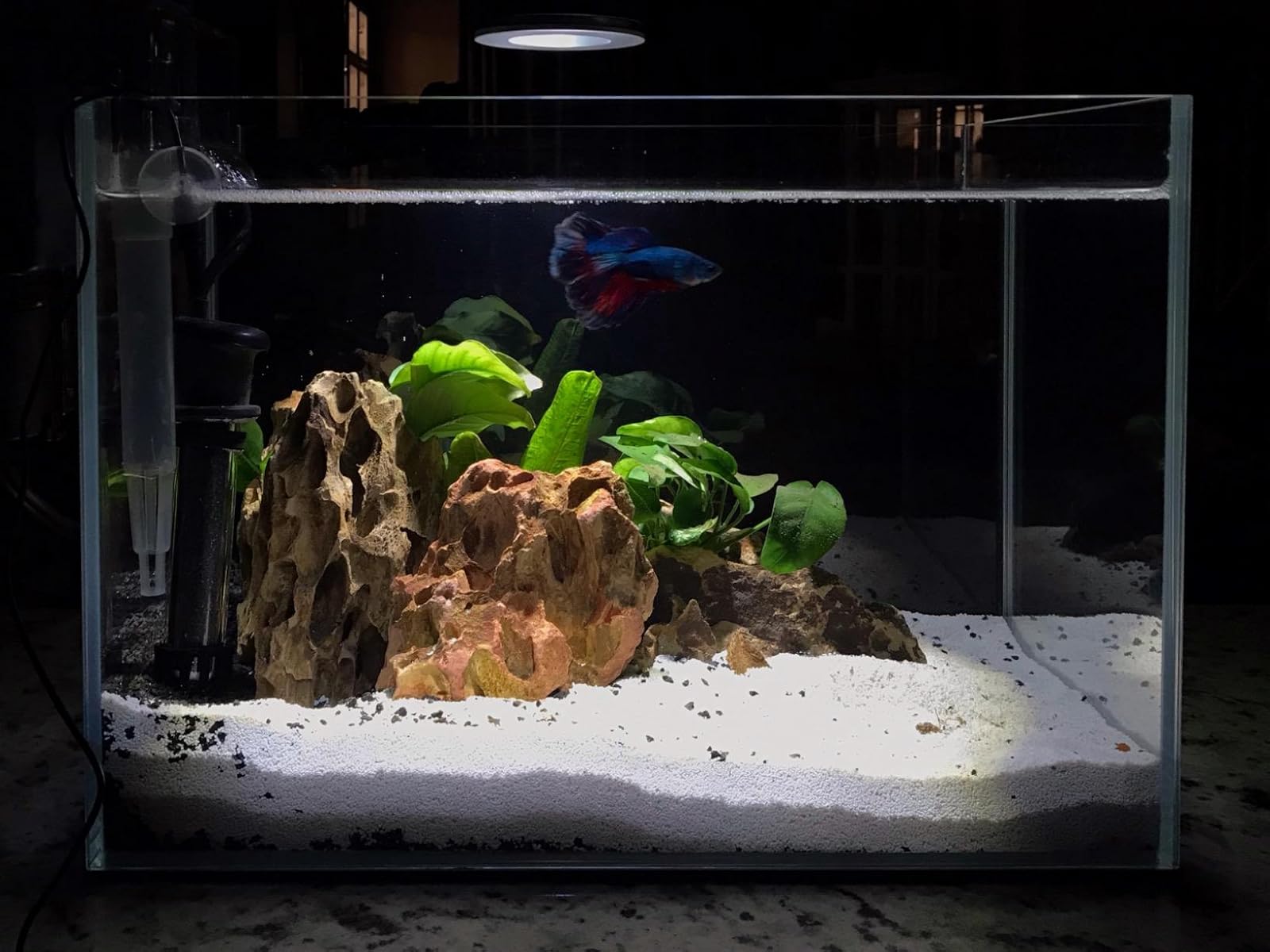 LANDEN 90P Aquarium, 208 Liter (90x50x50 Cm), Randlos, 10 Mm Eisenarmes Weißglas – Inkl. Schwarzer Nivelliermatte