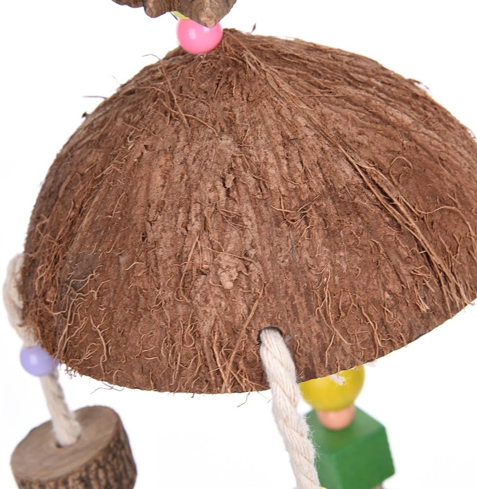 Factory Outlet Store Natural Wooden Pet Toy Parrot Birds Chew Toy Decorations Coconut Shell Blocks Toy Order Now Enjoy Big Discount Arzonmoy Uz
