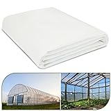 Greenhouse Plastic Sheeting, 10 x 26ft 6 mil Clear