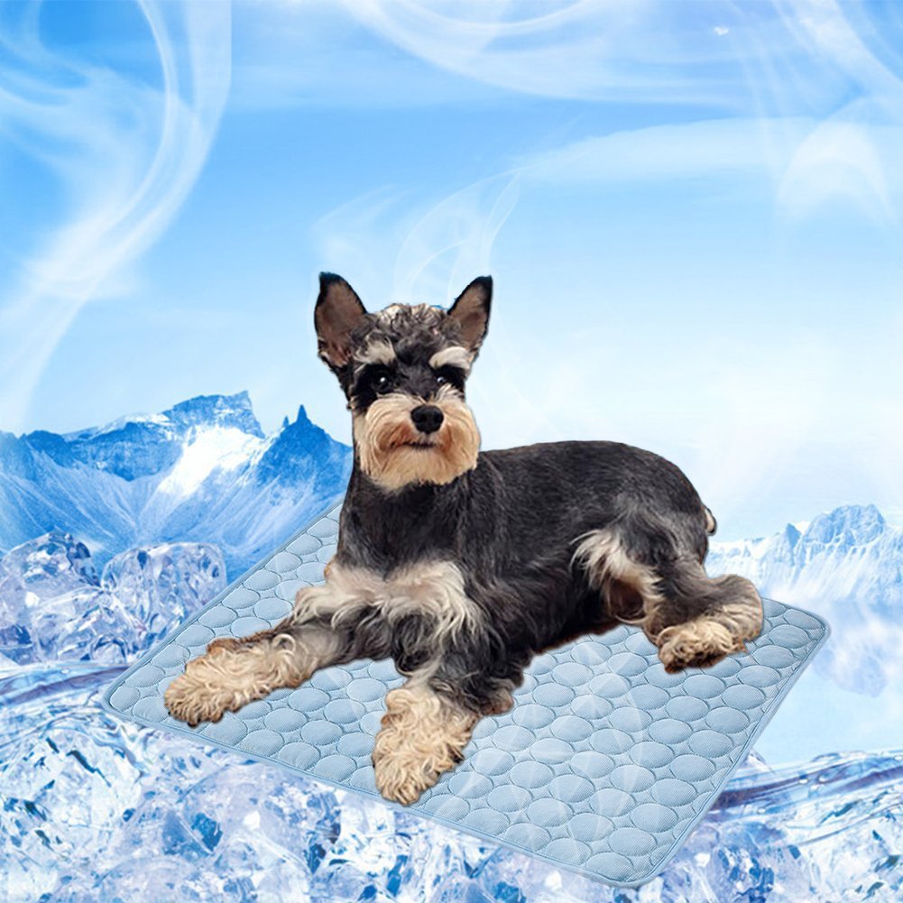 Alfombrilla de Refrigeración Animales Nevera y Manta para Perro ...