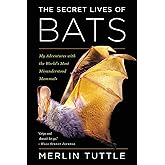 The Secret Lives Of Bats: My Adventures with the World's Most Misunderstood Mammals