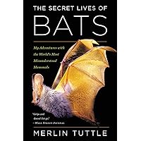 Amazon.com: Bats: A World of Science and Mystery