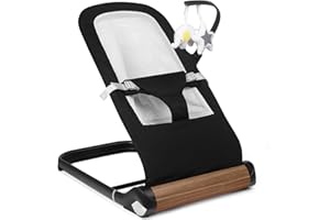 TOTRUN Baby Bouncer Chair - Comfortable Support for Your Little One's Blissful Moments (Net, Black)