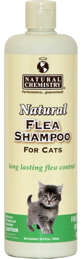homemade flea shampoo for cats