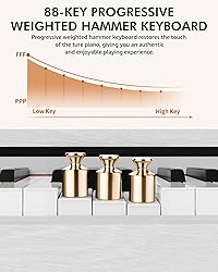 UISCOM 88 Key Weighted Keyboard Piano with