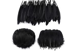 Lot de 250 plumes d'oie noires pour loisirs créatifs, attrape-rêves, décorations d'Halloween ou de Pâques