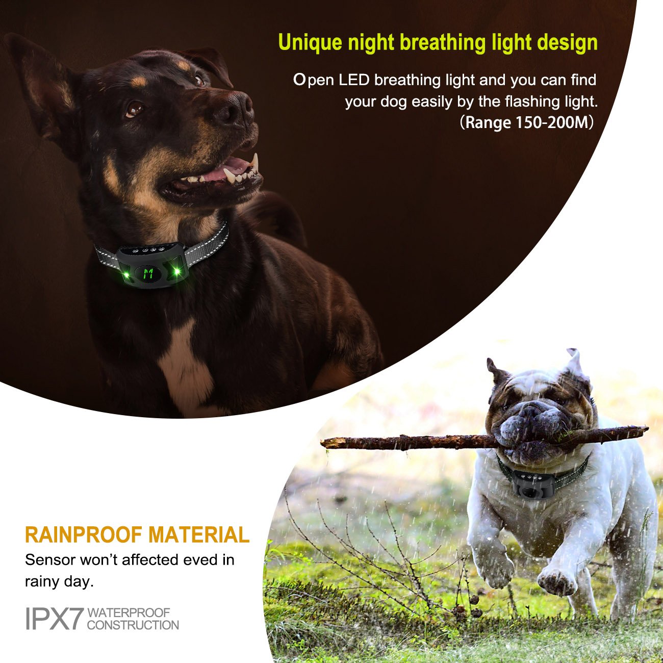 bark collar at night