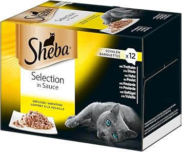 sheba cat food amazon