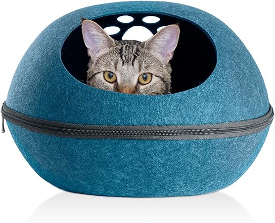 oval cat bed