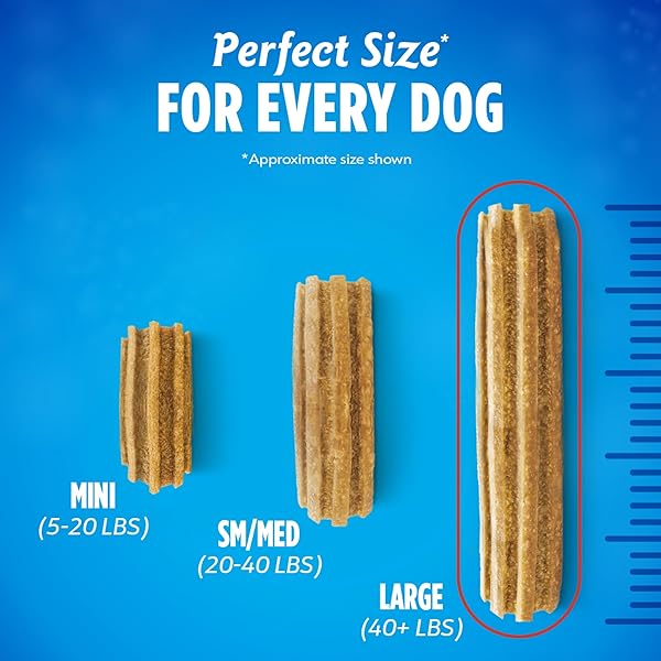DENTALIFE DAILY ORAL CARE DOG TREATS FOR LARGE DOGS 40 PLUS LBS., CHEWY DENTAL TREAT TO FRESHEN BREATH AND FIGHT TARTAR, CHICKEN FLAVOR, 36 OZ., 30 CHEWS – 30 CT. POUCH