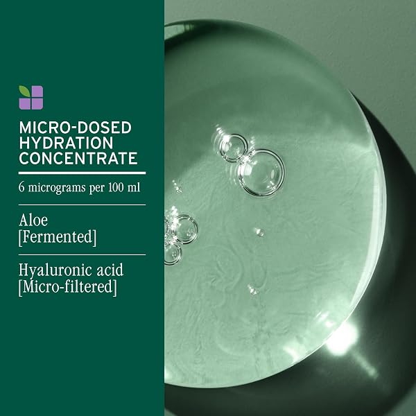 BIOLAGE HYDRA SOURCE SHAMPOO – SOFTENS, MOISTURIZES & ADDS SHINE, FOR DRY HAIR, INFUSED WITH MICRO-FILTERED ALOE VERA & FERMENTED HYALURONIC ACID, VEGAN & PARABEN-FREE, 13.5 FL OZ