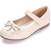 Hehainom Girls Dress Shoes Toddler Little Kid Flats Mary Jane School Bowknot Flower Girl Party Ballerina Flat Shoes