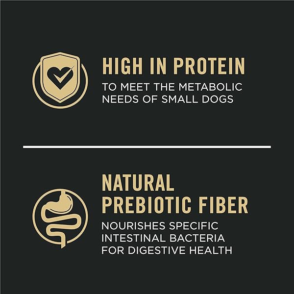 PURINA PRO PLAN SENSITIVE SKIN AND STOMACH DOG FOOD SMALL BREED, ADULT SALMON & RICE FORMULA – 4 LB. BAG
