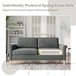 Vesgantti 65" Gray Loveseat, Comfy Mid-Century