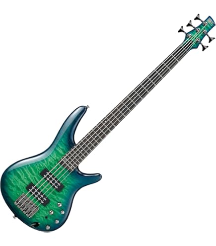 Amazon.com: Ibanez SR405E SR Standard 5-String - Dragon Eye Burst