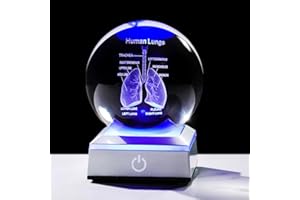 ORNALRIST 3D Human Lung 3.15 in. Crystal Ball Gifts for Pulmonologists, Glass Sphere Etched Anatomical Lung Model Keepsake for Him Medical Teacher with LED Light Base
