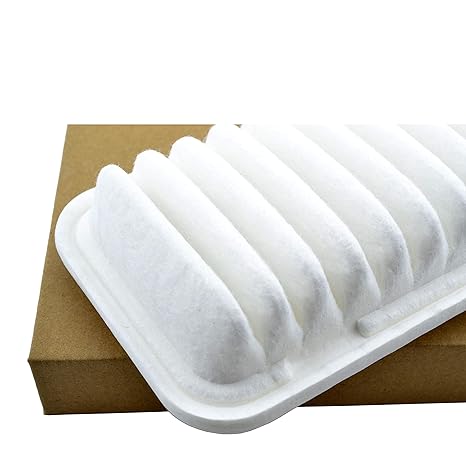 Bi Trust Tzft00034 Engine Cabin Air Filter For Toyota Echo 2000