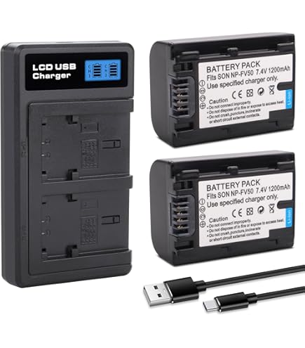 Amazon.com : BM NP-FV70 Battery and Charger for Sony FDR-AX700