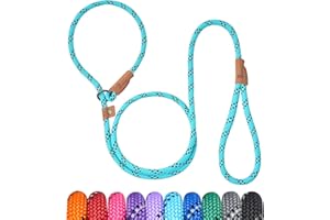 Petarea 5 FT Slip Lead Dog Leash, Heavy Duty Rope Leash for Small Medium Large Dogs, No Pull Training Lead with Reflective Thread, Strong Comfortable Loop Leash (Teal Stripe, Medium(3/8"))