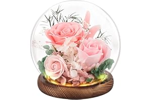 FAYODO Preserved Flowers with Light, Eternal Rose as Gifts for Women Mom Grandma Girlfriend for Birthday Christmas Valentine's Day Mother's Day Anniversary Thanksgiving, Pink
