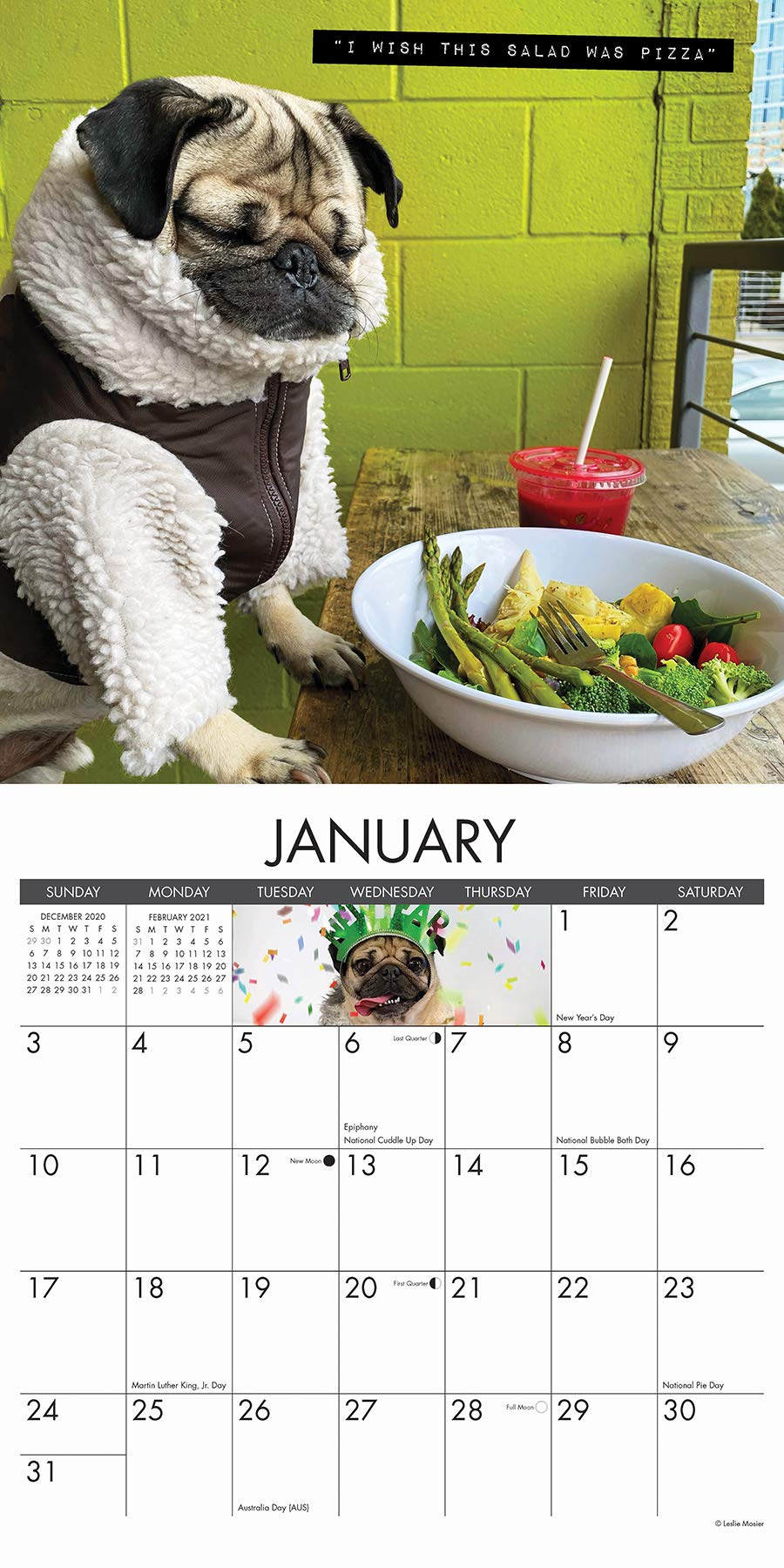 Doug The Pug Calendar 2021 Lunar Calendar