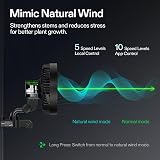 VIVOSUN AeroWave E6 Gen2 Clip Fan 6 inch, EC Motor, 10 Speeds, 2 Modes, IP54 view 7