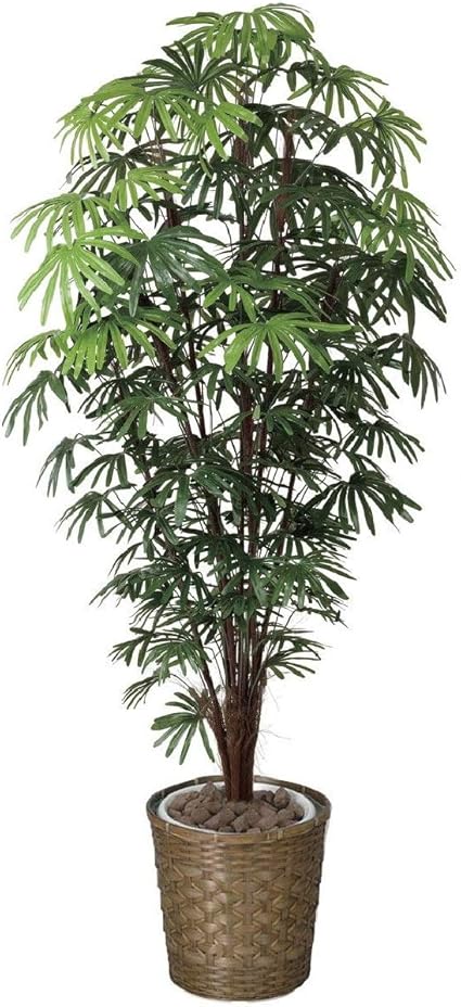 Amazon 造花 観葉植物 シュロチク 180cm 光触媒 空気清浄 インテリアグリーン 鉢植え 人工観葉植物 オンライン通販