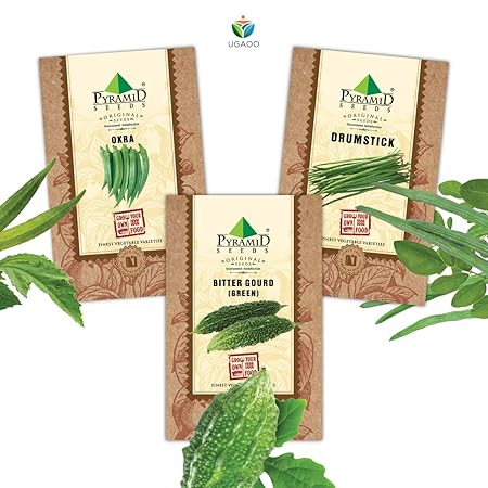 Pyramid Seeds Vegetable Seeds Combo Of Bittergourd (Green Long), Drumstick (Moringa), Okra (Lady Finger)