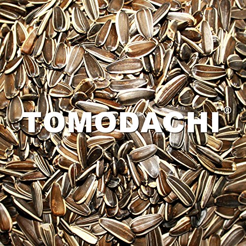 Hühnerfutter, Hühnerbelohnung, Sonnenblumenkerne, extragroÃ, Hühnersnack, Hühnerdelikatesse, Vogelfutter, Ergänzungsfutter Huhn, Tomodachi® Sonnenblumenkerne gestreift XXL, 3kg Eimer – Bild 8