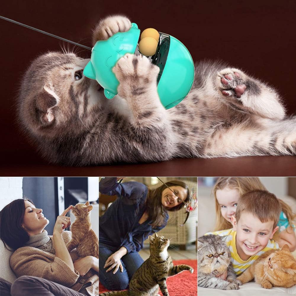 LucaSng Cat Food Toy Ball Tumbler-cat IQ Training Turntable Food Dispenser-with Double Rolling Balls and Detachable Stick-Fully Adjustable Teaser Toy-can be Used for Kitten and Puppy Sports : Pet Supplies