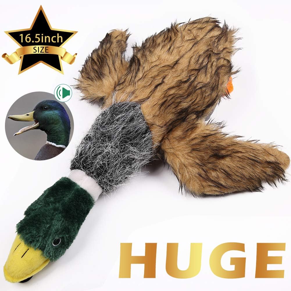 rubber mallard duck dog toy