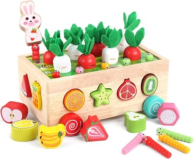 KMTJT Wooden Montessori Farm Harvest Shape Sorting Toy for Toddlers 1-3