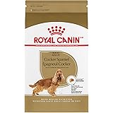 royal canin cavalier king charles puppy dry dog food