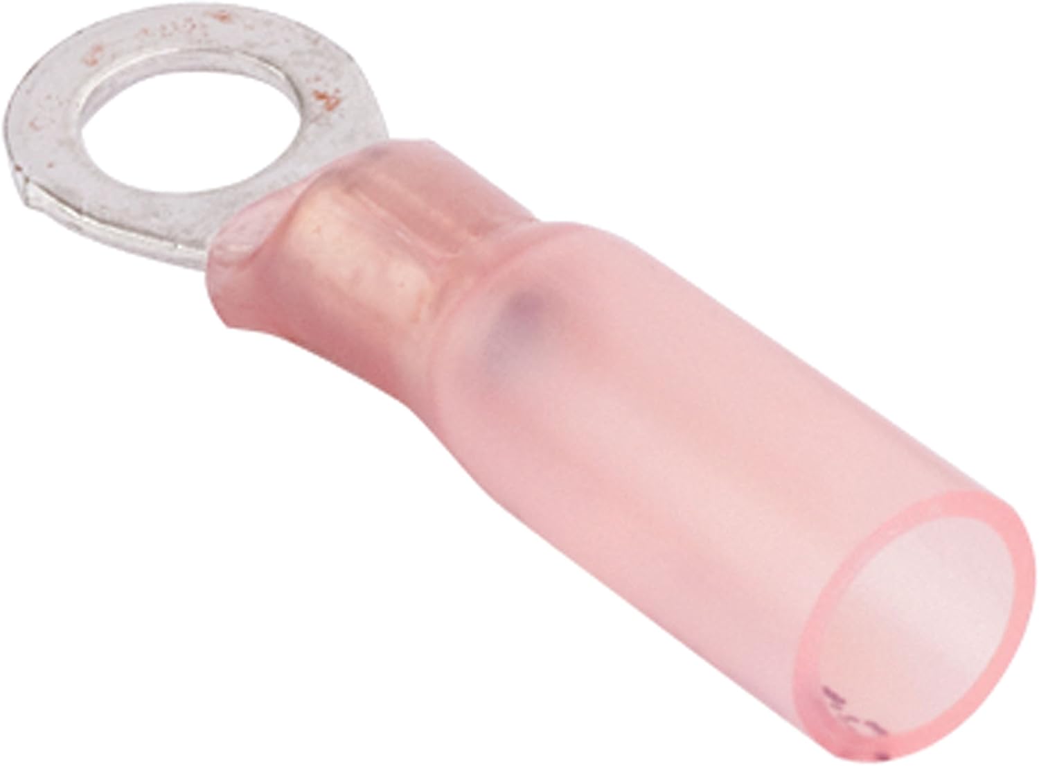 Sea Dog 22-18 GA #4-6 (6) H/S Nylon Ring Terminal : Sports & Outdoors