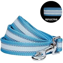 Blueberry Pet Essentials Reflective Better Basics