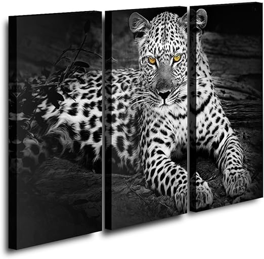 Amazon Com Sunfrower 3 Panel Black And White Leopard Cheetah Wall