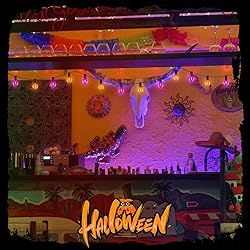 25FT Outdoor Halloween String Lights, G40 Outdoor