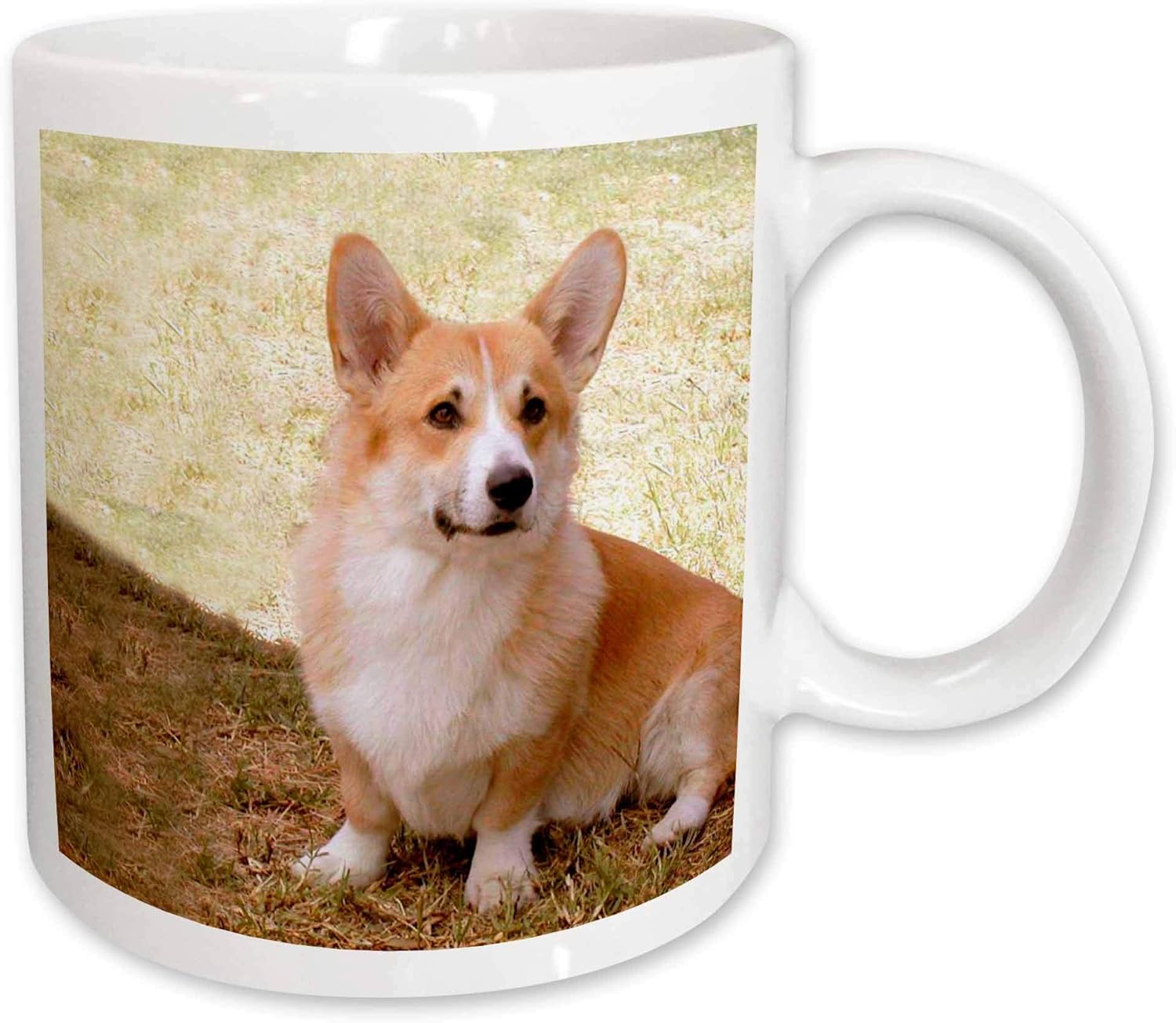 corgi cup
