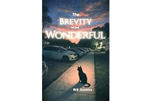 The Brevity of the Wonderful