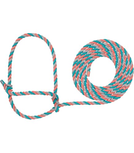 Mammifère bovin, corde à sauter, air, bétail png