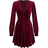 CIDER Womens Velvet V Neck Long Sleeve Mini Dress Party Cocktail