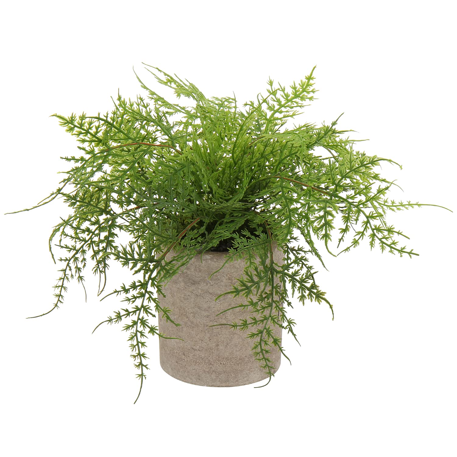 Hollyone Artificial Potted Asparagus Fern Plant Fake Plant in pot, Small Decorative Faux Potted Herbs Indoor, Artificial Fern Grass for House Office Bedroom Desk Decor