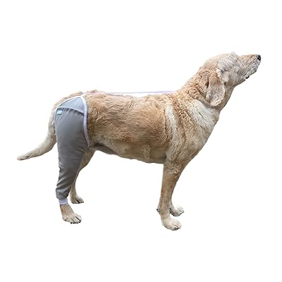 After Surgery Wear Hip and Thigh Wound Protective Sleeve for Dogs. Dog Recovery Sleeve. Recommended by Vets Worldwide