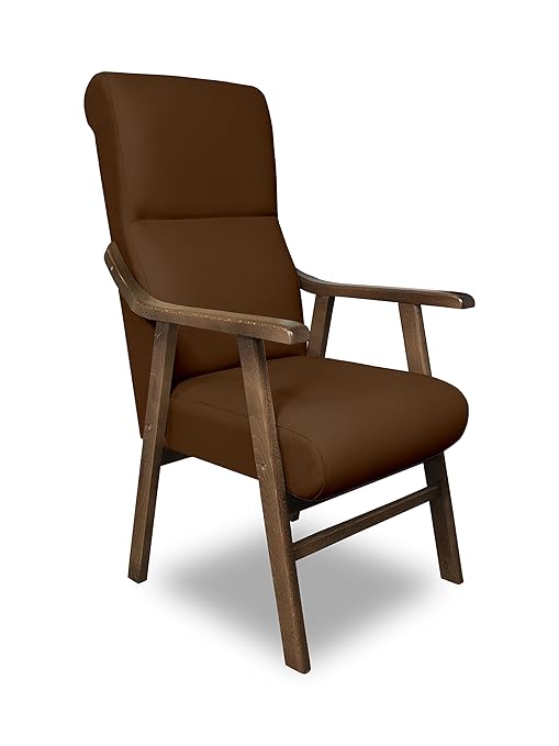 Sillones ideal para la espalda y bonitos | Sillones