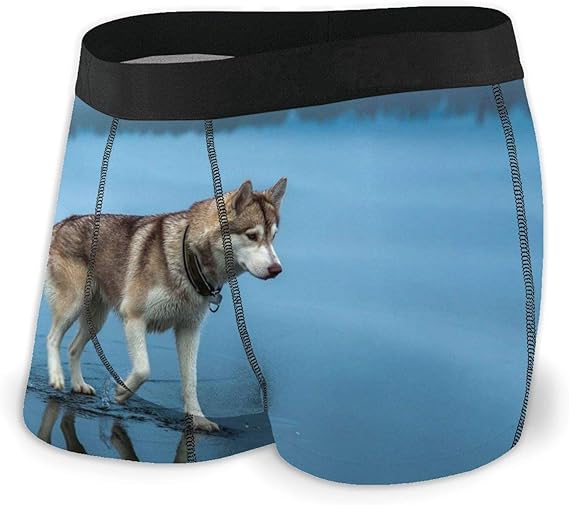 Beautiful Siberian Husky Men's Boxer Briefs Regular Soft Breathable