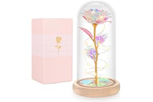 BEFERR Mothers Day Flowers Gifts for Mom, Birthday Gifts for Women, Galaxy Glass Rose Gifts for Grandma Wife Daughter Artificial Forever Preserved Flowers for Delivery Prime Rose in Glass Dome, Rainbow
