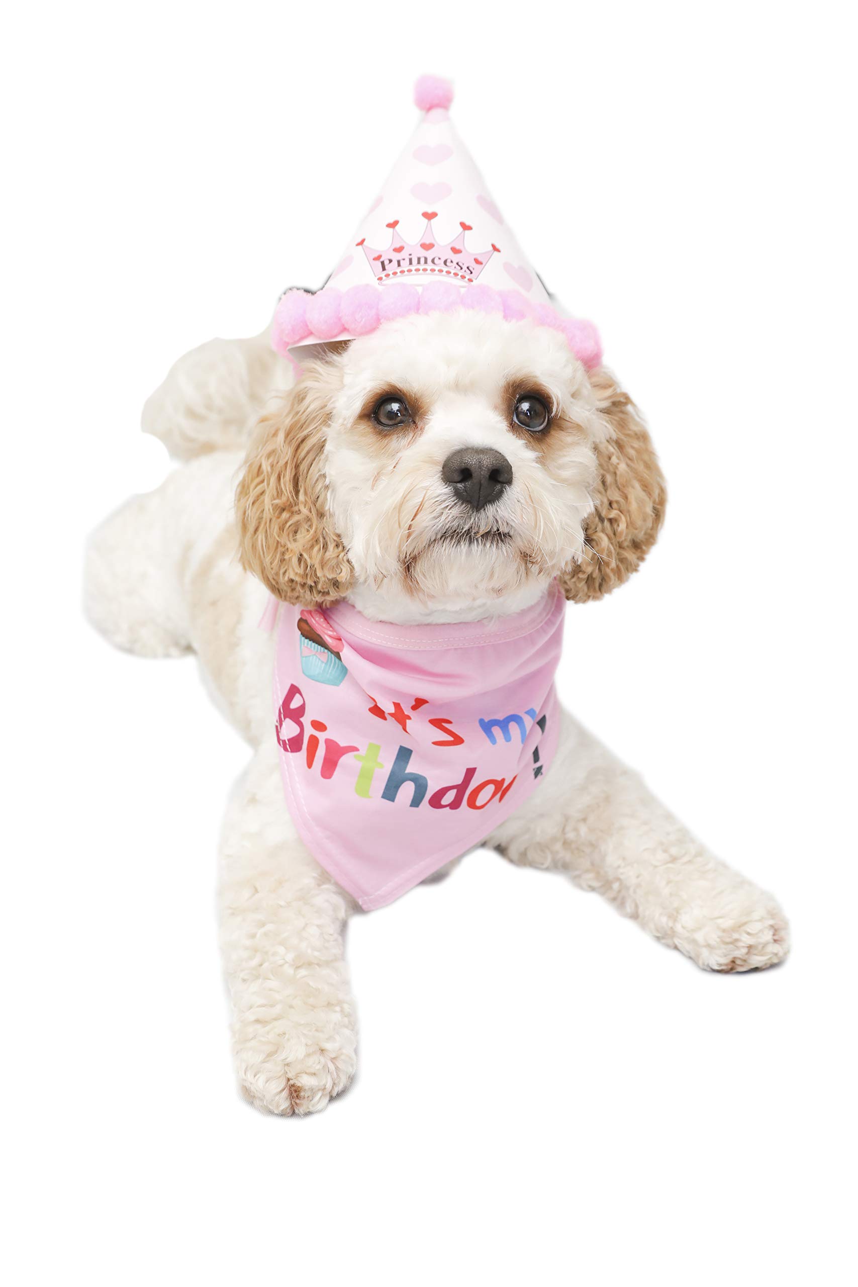 Dog Birthday Bandana and Party hat PINK for the Girls | Dog Bandana | Dog birthday hat | Dog Accessories | Dog Birthday | Pet Birthday