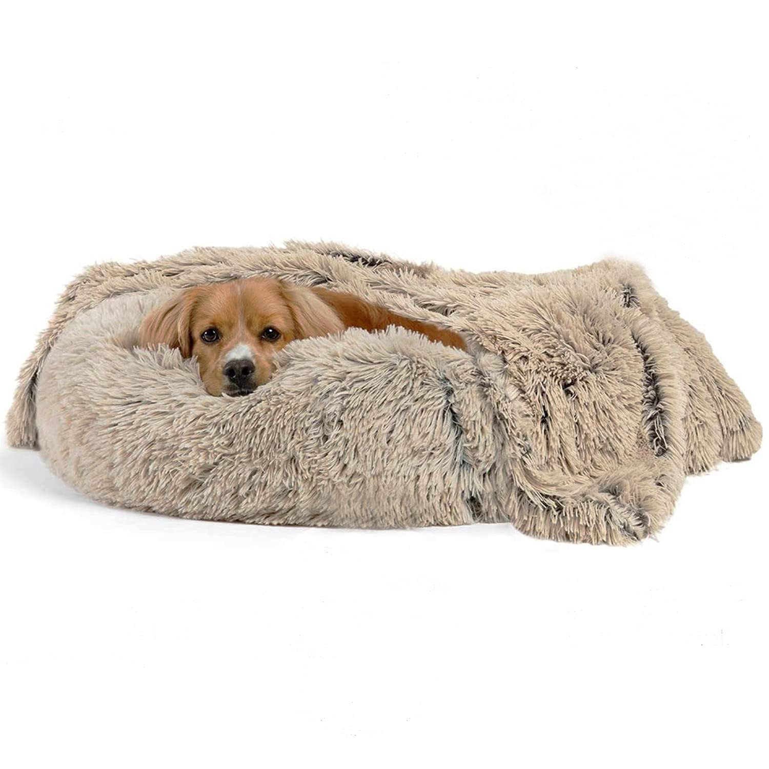 SKRORS Round Pet bed, Plush Soft Washable Self-Warming Calming Donut Cuddler Round Dog Bed Comfortable for Sleeping Winter, Beige 80cm
