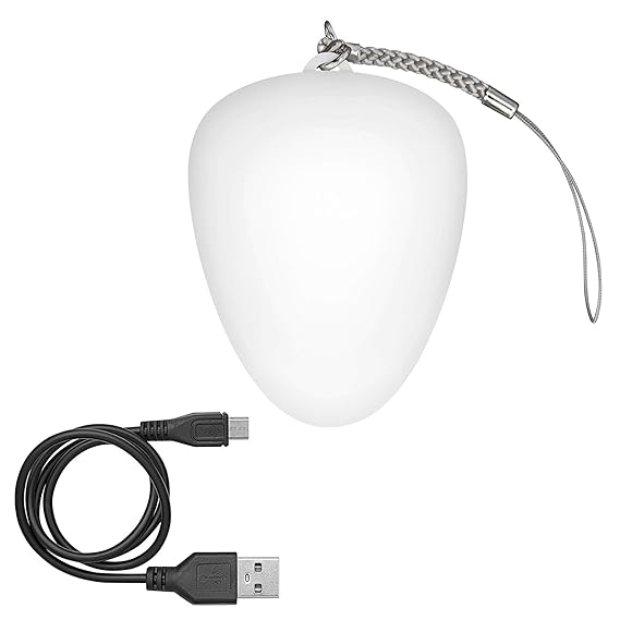Wedo 205265400 Handtaschenlicht oval, mit Infrarot-Sensor, aufladbar per USB, automatisches An & Aus, Clip, 2,8 x 4,7 x 6,3 c