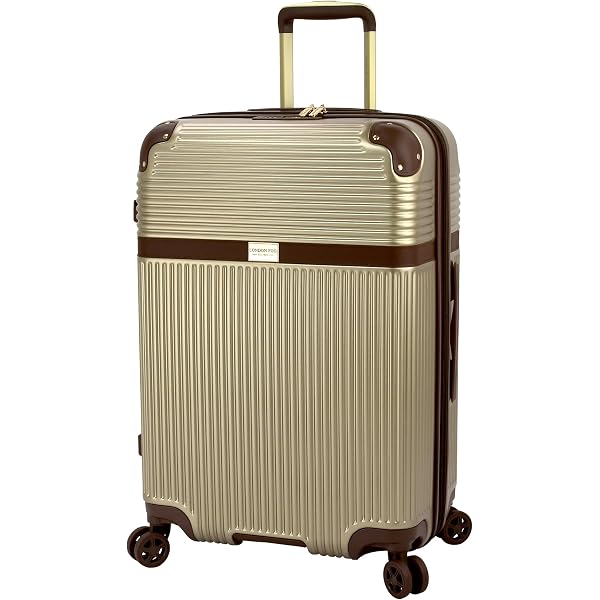 Amazon.com | Titan Xendsbrn Suitcase, Brown | Suitcases